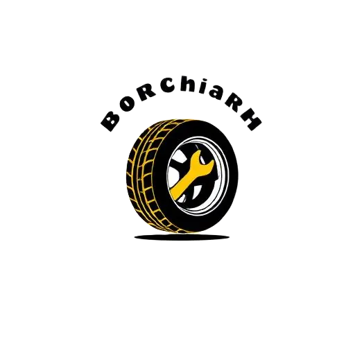 Logo Borracharia Dois Irmãos